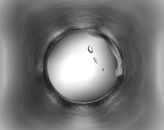 X0000086930631200704301118