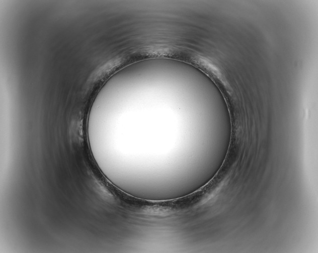 X0000086930633200704301118