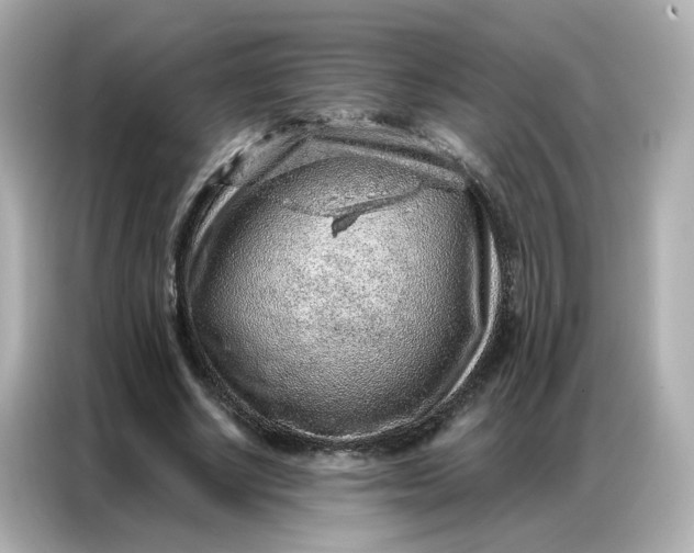 X0000086930634200704301118