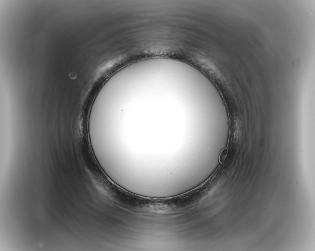 X0000086930636200704301118