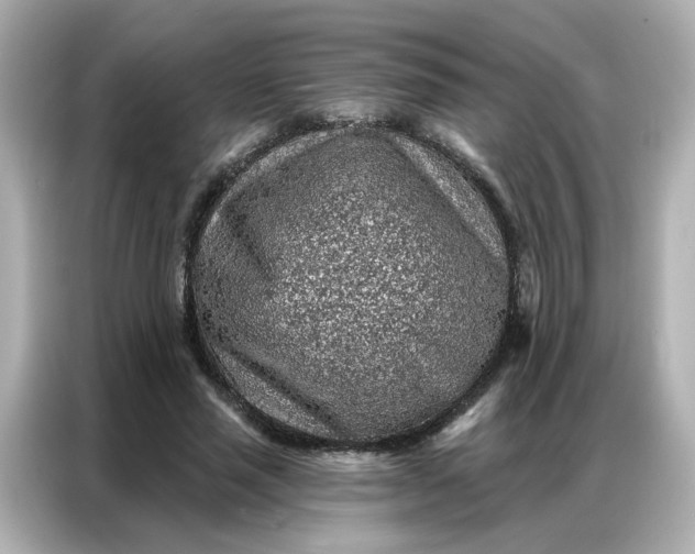 X0000086930637200704301118