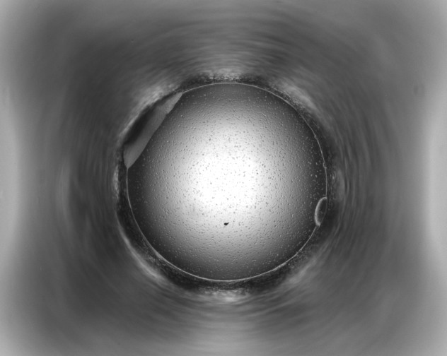 X0000086930638200704301118