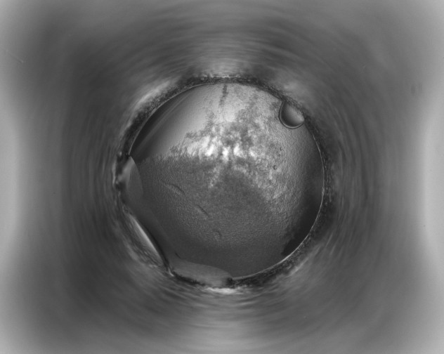 X0000086930640200704301118