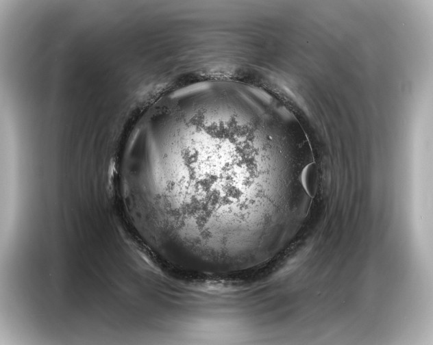 X0000086930641200704301118