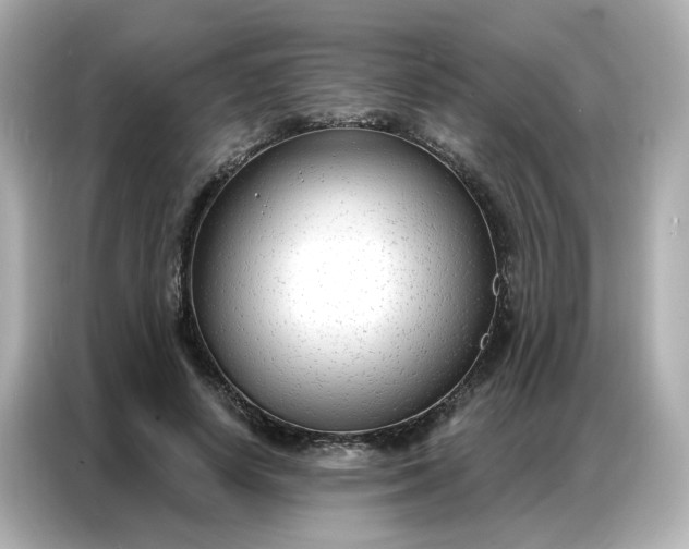 X0000086930642200704301118