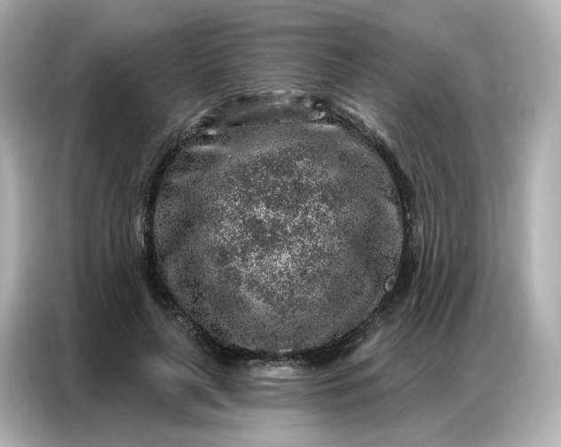 X0000086930643200704301118