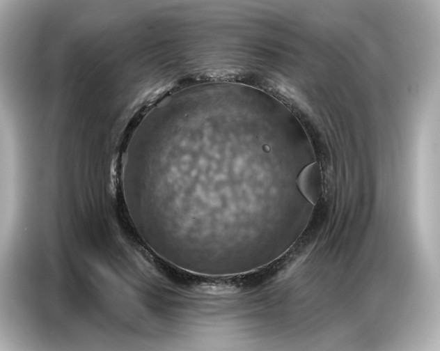 X0000086930644200704301118