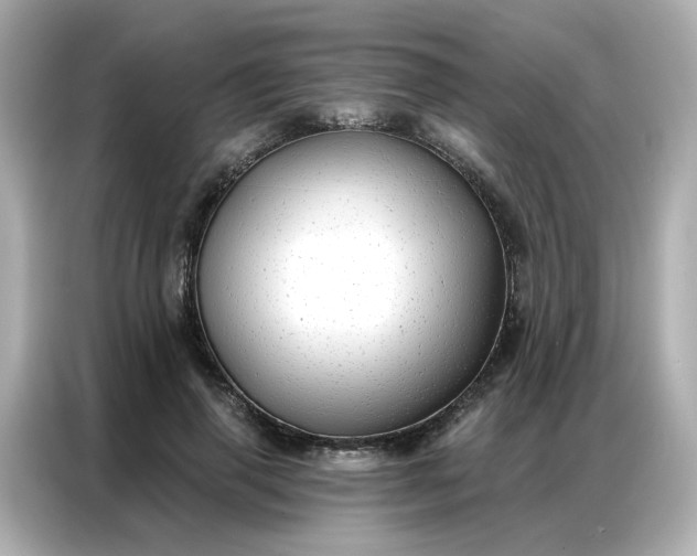 X0000086930645200704301118