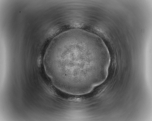 X0000086930647200704301118