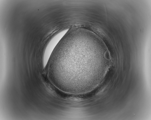 X0000086930648200704301118