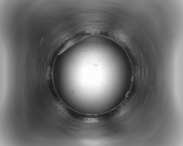 X0000086930649200704301118