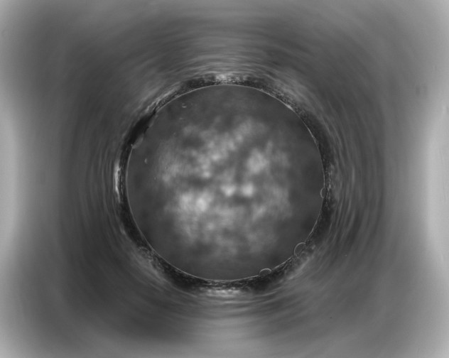 X0000086930650200704301118