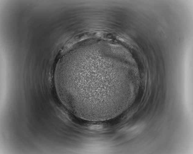 X0000086930653200704301118