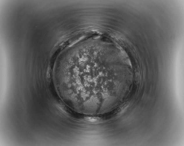 X0000086930654200704301118