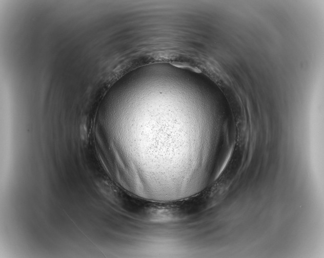 X0000086930655200704301118