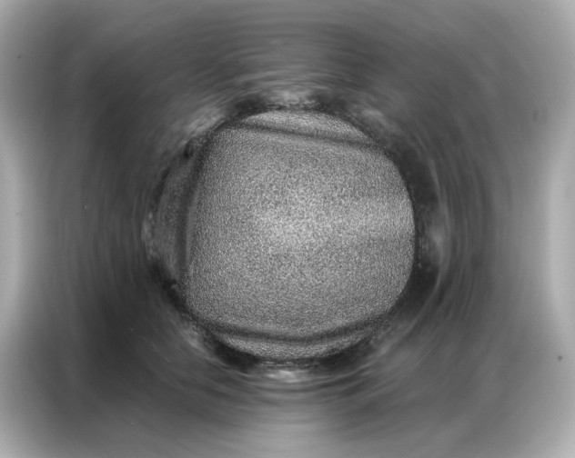 X0000086930658200704301118