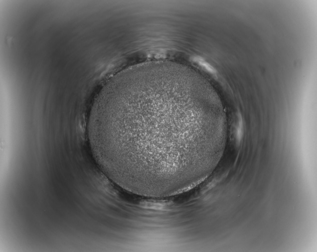 X0000086930661200704301118