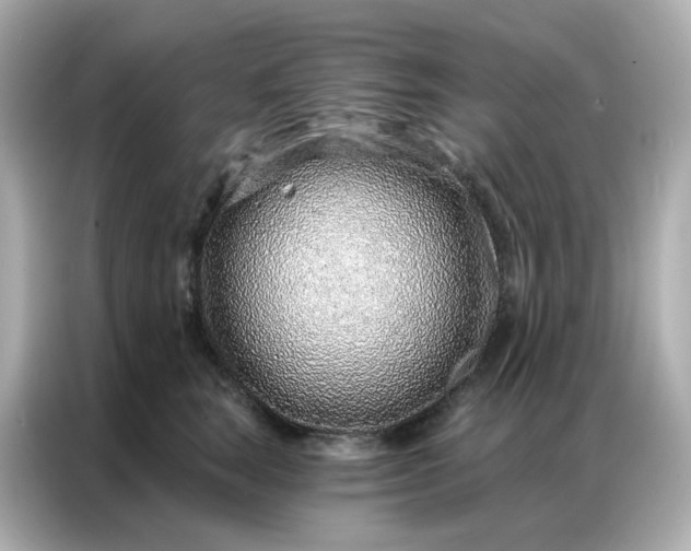 X0000086930663200704301118