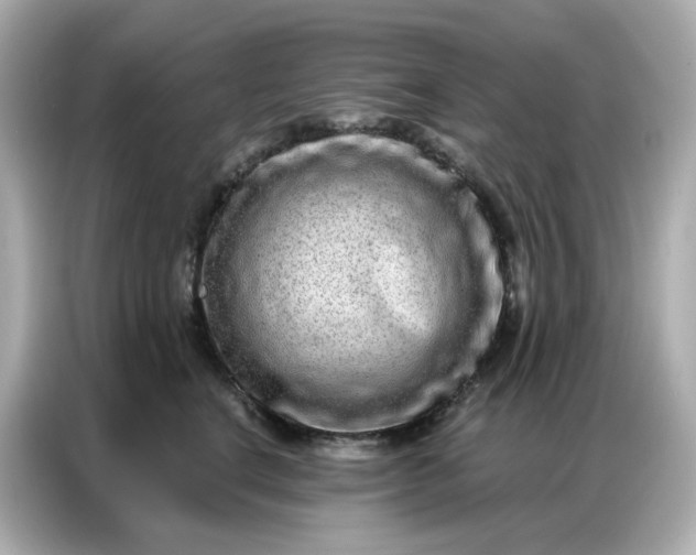 X0000086930664200704301118