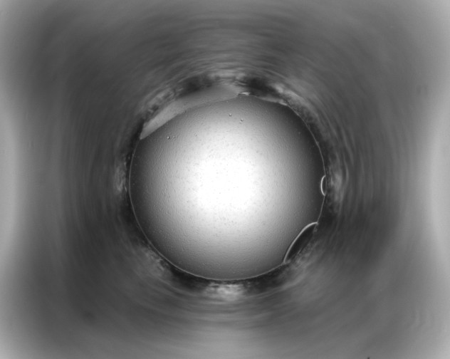 X0000086930665200704301118