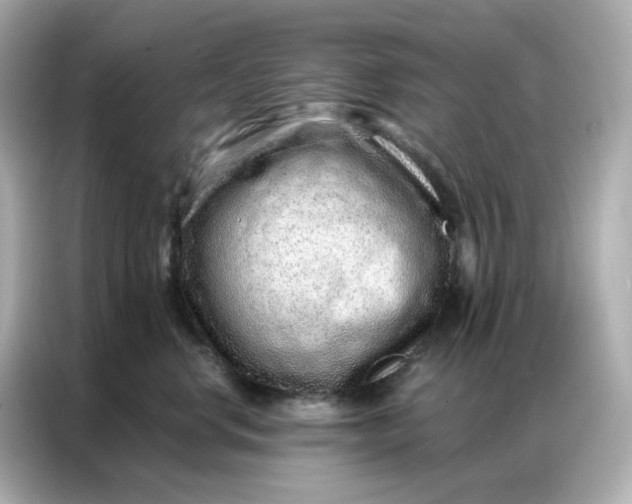 X0000086930668200704301118