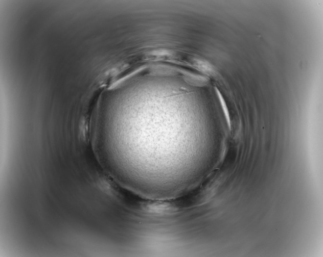 X0000086930669200704301118