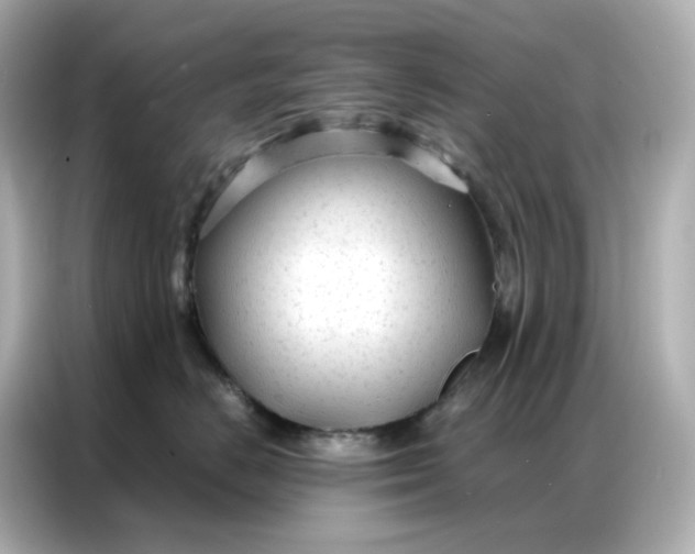 X0000086930670200704301118