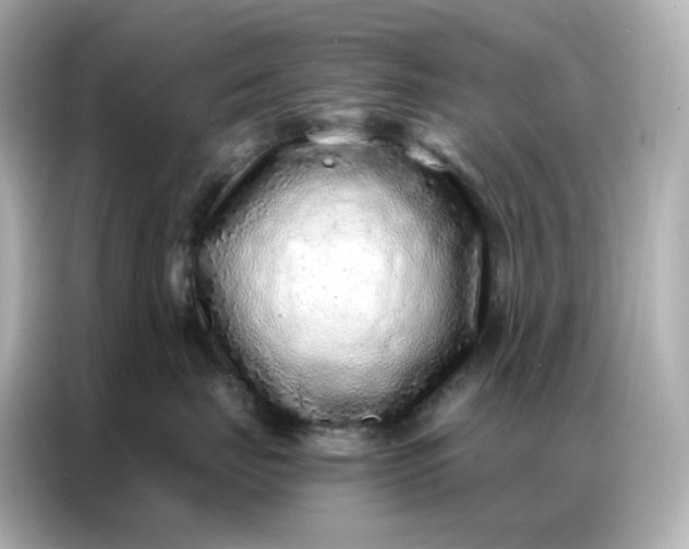 X0000086930671200704301118