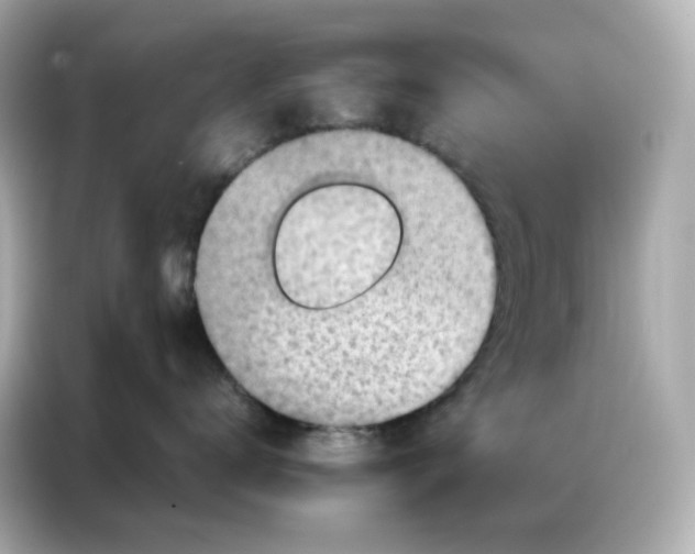 X0000086930672200704301118