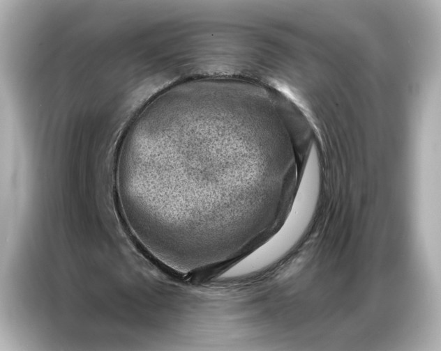 X0000086930673200704301118