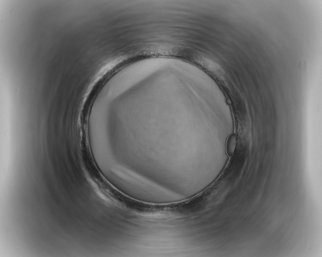 X0000086930674200704301118