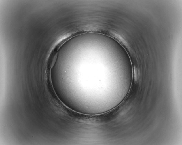 X0000086930675200704301117