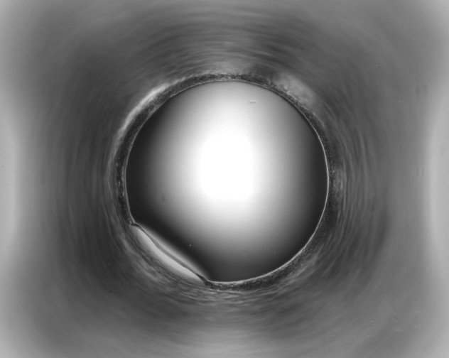 X0000086930676200704301117