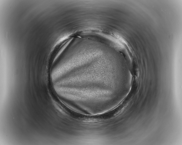 X0000086930677200704301117