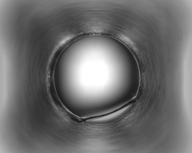 X0000086930680200704301117