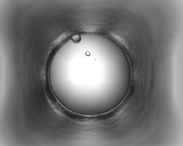 X0000086930682200704301117