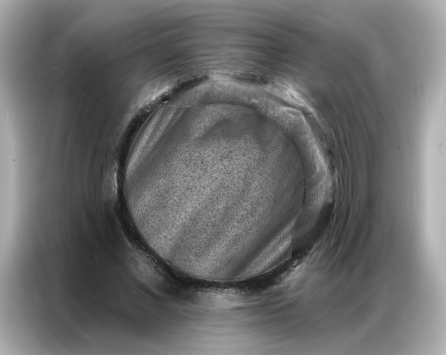 X0000086930685200704301117