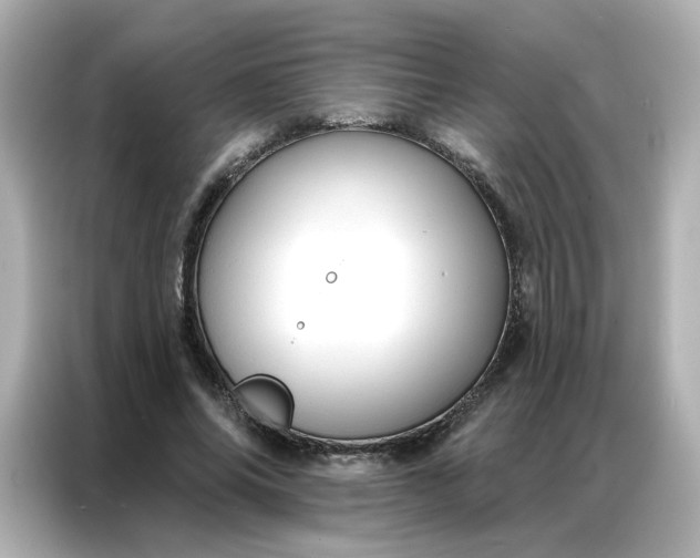 X0000086930686200704301117