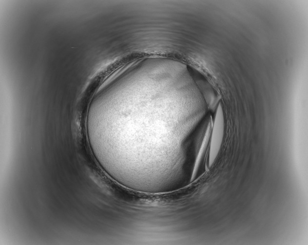 X0000086930688200704301117