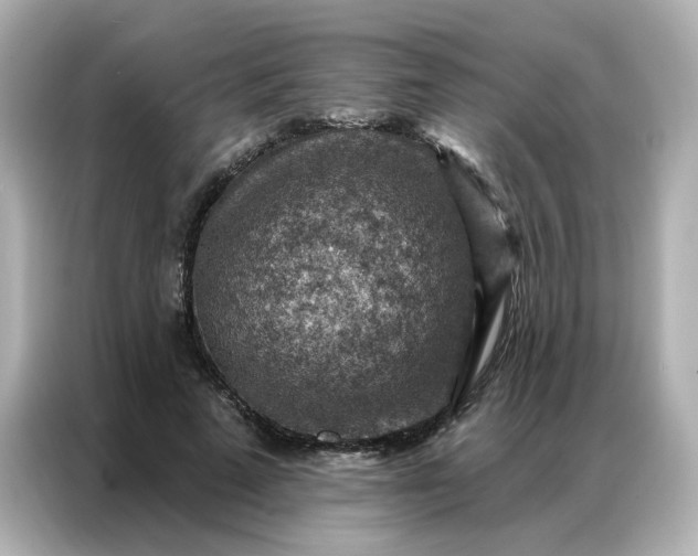 X0000086930689200704301117