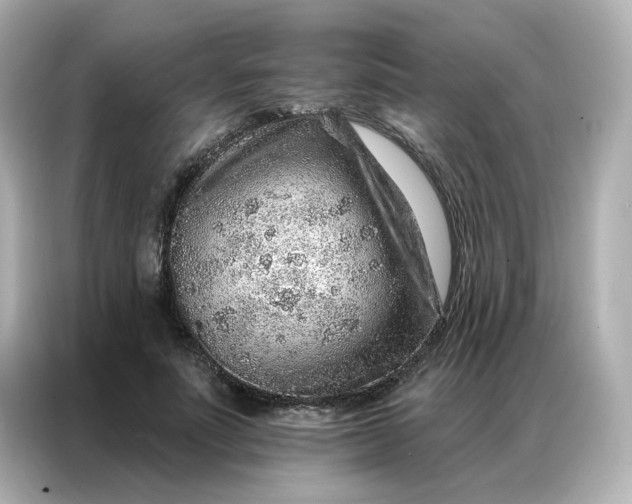 X0000086930691200704301117