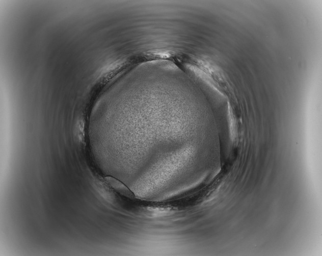 X0000086930693200704301117