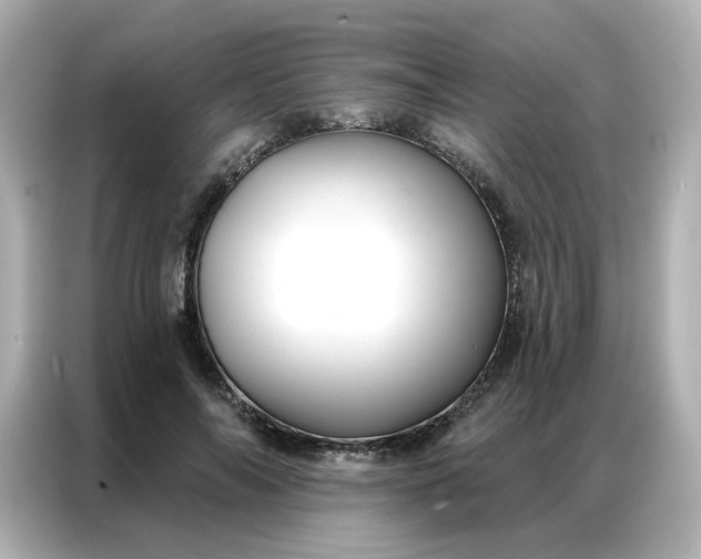 X0000086930694200704301117