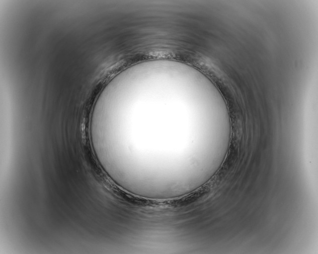 X0000086930696200704301117