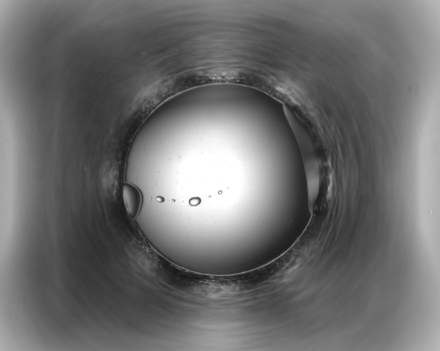 X0000086930697200704301117