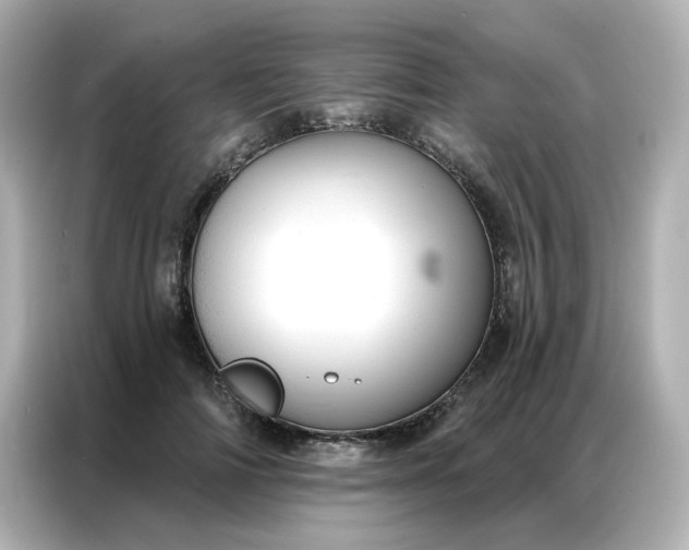 X0000086930698200704301117