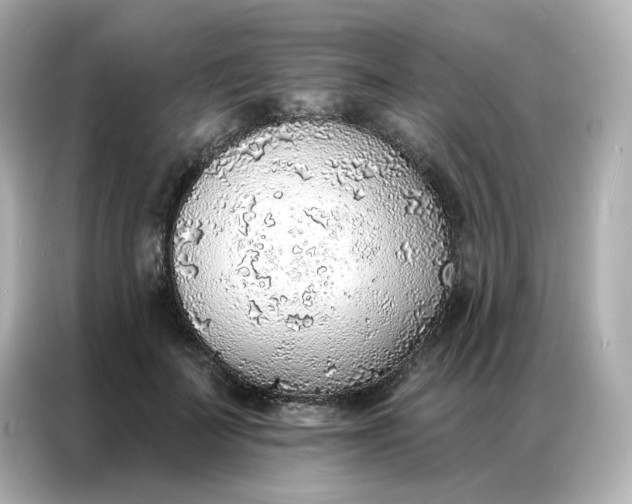 X0000086930699200704301117