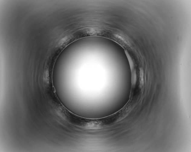 X0000086930700200704301117