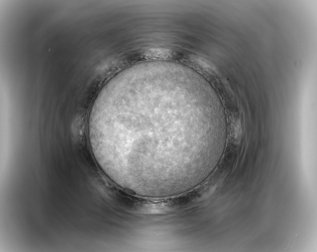 X0000086930701200704301117