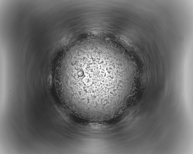 X0000086930703200704301117